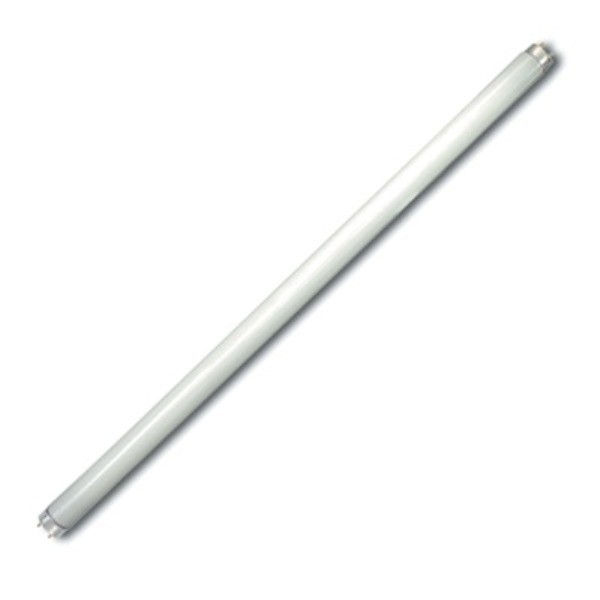 Лампа OSRAM G13 T8 18W 6500k лампа 590*26 L 18W/765