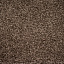Ковровое покрытие Zartex Tesoro 156 Коричневый - 4 м Ковровое покрытие Zartex Tesoro 156 Коричневый - 4 м.