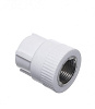 Муфта PP-R переходн. Дн20*3/4" Внутр.резьба. 
